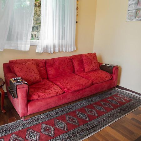 Chale Rosa Do Vale Villa Petrópolis Екстериор снимка
