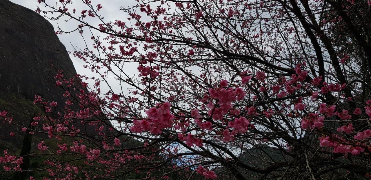 Chale Rosa Do Vale Villa Petrópolis Екстериор снимка