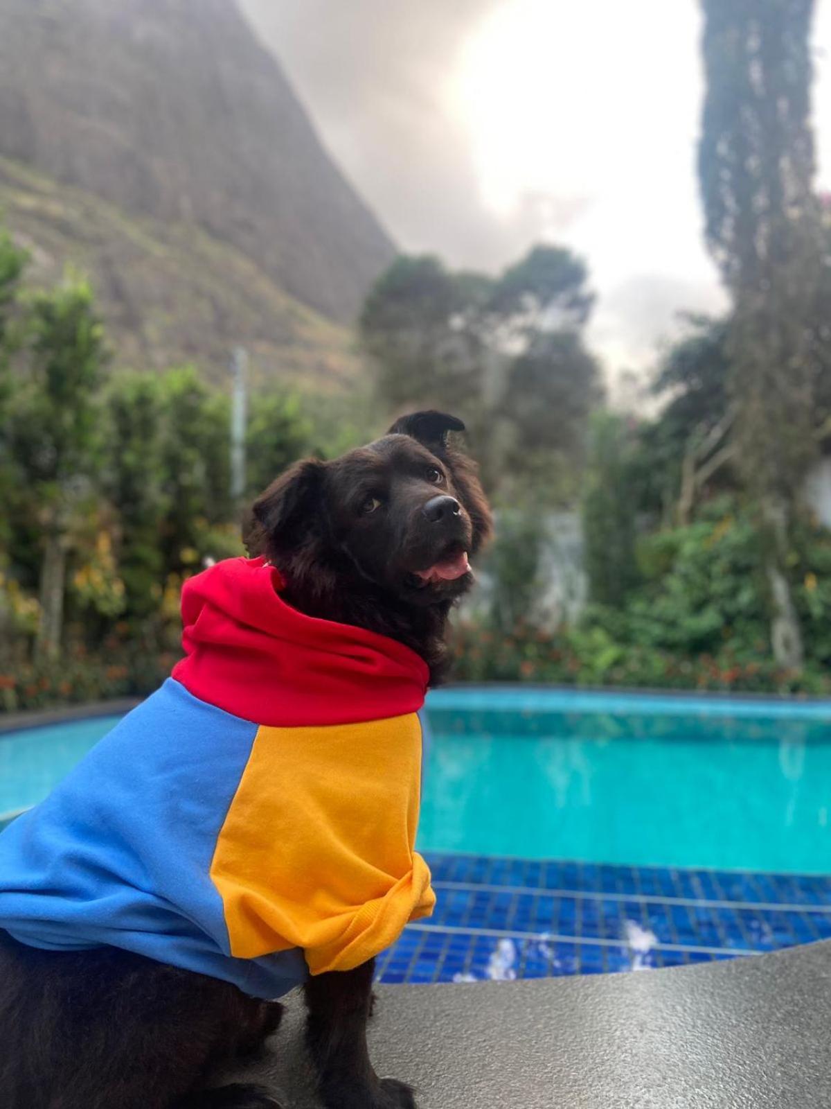 Chale Rosa Do Vale Villa Petrópolis Екстериор снимка