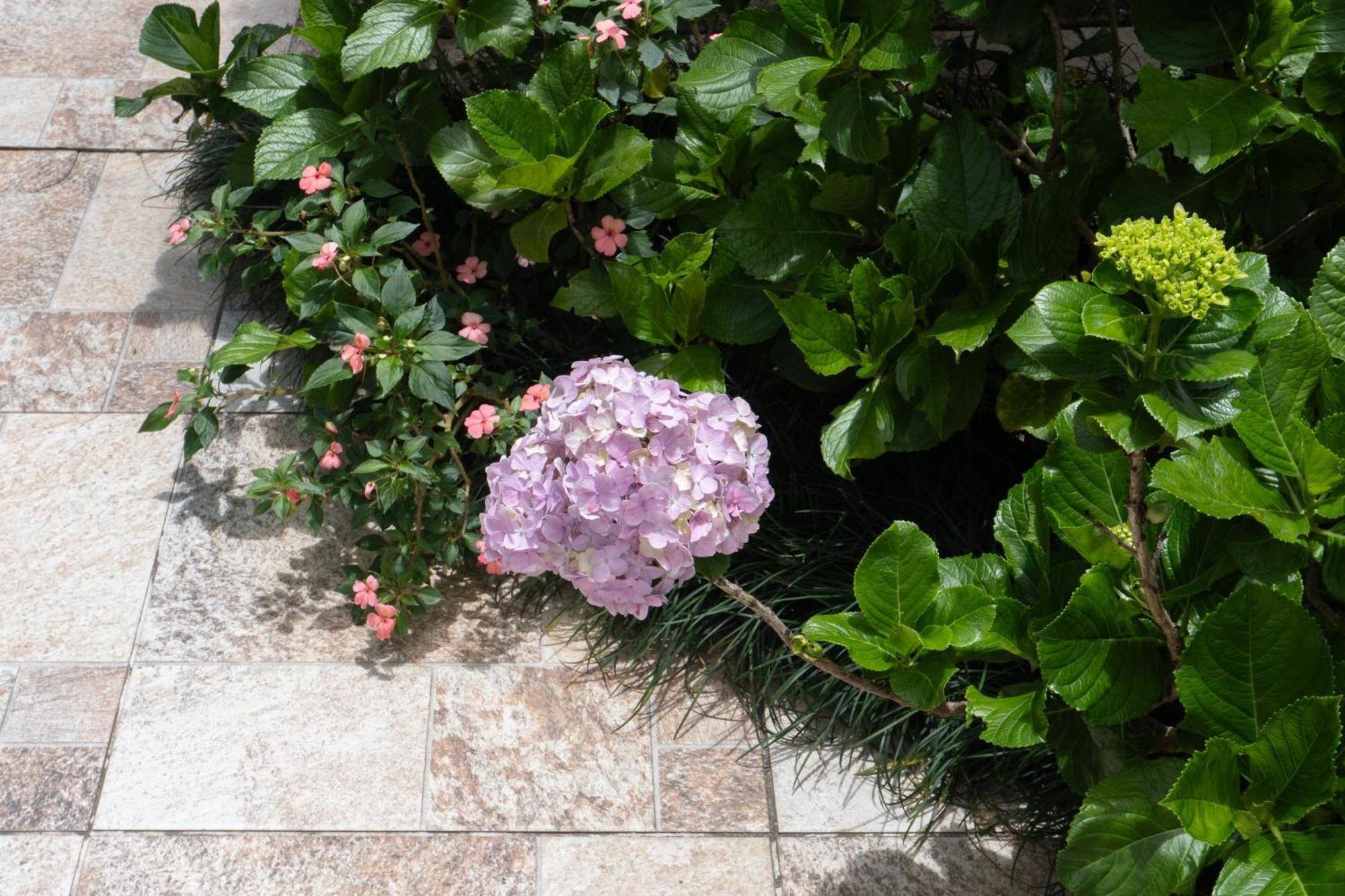 Chale Rosa Do Vale Villa Petrópolis Екстериор снимка