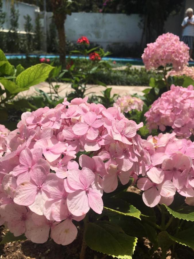 Chale Rosa Do Vale Villa Petrópolis Екстериор снимка
